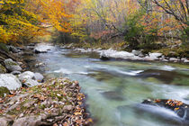 Tennessee, Great Smoky Mountains National Park, Little River by Danita Delimont