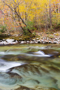Tennessee, Great Smoky Mountains National Park, Little River by Danita Delimont