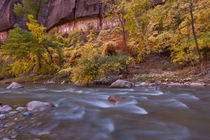 USA, Utah, Zion National Park by Danita Delimont