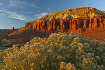 USA, Utah, Capitol Reef National Park von Danita Delimont