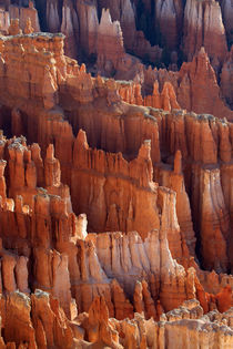 Rock formations and hoodoos, Bryce Amphitheater, Bryce Canyo... von Danita Delimont