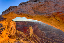 USA, Utah, Canyonlands National Park, Island in the Sky, Mes... by Danita Delimont