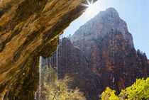 USA, Utah, Zion National Park, Weeping Rock. by Danita Delimont