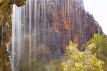 USA, Utah, Zion National Park, Weeping Rock. by Danita Delimont