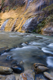 USA, Utah, Zion National Park by Danita Delimont