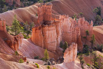 Utah, Bryce Canyon National Park, Bryce Canyon and Hoodoos von Danita Delimont