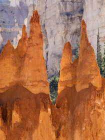 Utah, Bryce Canyon National Park, Bryce Canyon and Hoodoos a... by Danita Delimont