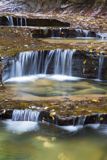 Utah, Zion National Park, water cascading through Left Fork ... by Danita Delimont