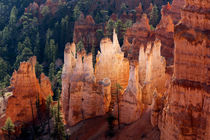 Utah, Bryce Canyon National Park, Bryce Canyon and Hoodoos von Danita Delimont