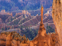 Utah, Bryce Canyon National Park, The Sentinel von Danita Delimont