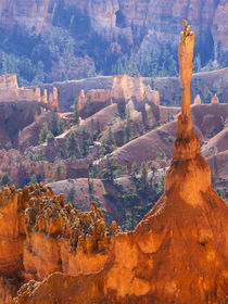Utah, Bryce Canyon National Park, The Sentinel von Danita Delimont