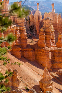 Bryce Canyon National Park Utah, USA. von Danita Delimont
