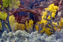 Grand Staircase-Escalante National Monument, Utah, USA by Danita Delimont