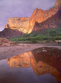 Sunset at Zion Canyon, Zion National Park, Utah by Danita Delimont