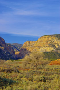 An isolated location in Dinosaur National Monument, Utah by Danita Delimont