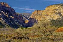 An isolated location in Dinosaur National Monument, Utah by Danita Delimont
