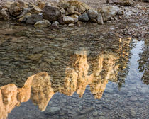 Peaks reflecting in small pool at Mossy Cave at Bryce Canyon... by Danita Delimont