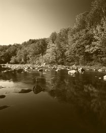 USA, Vermont, Autumn trees reflected in Deerfield River von Danita Delimont