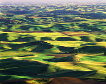 USA, Washington State, Eastern Washington, Palouse, Contour ... von Danita Delimont