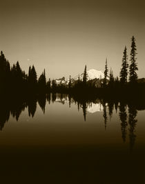 USA, Washington State, Mount Rainier National Park, Mount Ra... von Danita Delimont