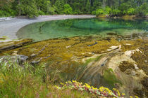 USA, Washington State, San Juan Islands von Danita Delimont