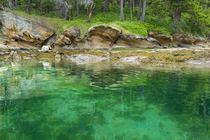 USA, Washington State, San Juan Islands von Danita Delimont