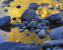 USA, Washington, Okanogan-Wenatchee National Forest, Twisp R... von Danita Delimont