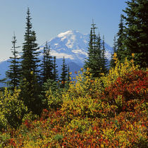 USA, Washington, Mt von Danita Delimont