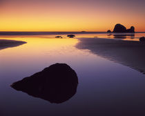 USA, Washington, Olympic Peninsula, Pacific Beach von Danita Delimont