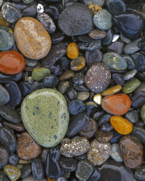 USA, Washington, Lopez Island, Agate Beach County, Stones by Danita Delimont