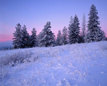 USA, Washington, Spokane County, Browne Mountain by Danita Delimont