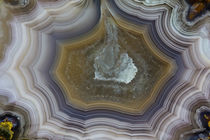 Banded Agate, Sammamish, Washington State by Danita Delimont