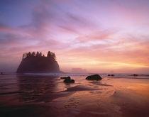 Sea Stacks at sunset, 2nd Beach, Olympic National Park, WA by Danita Delimont