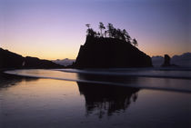 USA, Washington State, Second Beach, Olympic National Park, ... by Danita Delimont
