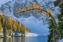 USA, Washington, Wenatchee National Forest, Blue Lake with g... by Danita Delimont