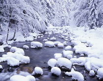 WA, Mount Baker Snoqualmie National Forest, South Fork Snoqu... von Danita Delimont