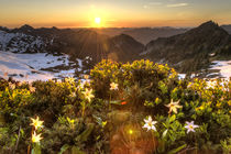 Olympic National Park, Washington State von Danita Delimont