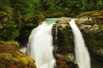 Hooksack Falls, Mount Baker-Snoqualmie National Forest, Wash... by Danita Delimont
