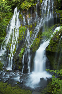 Panther Creek Falls, Carson, Washington, USA von Danita Delimont