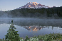 Sunrise, Mount Rainier, Reflection Lake, Mount Rainier Natio... by Danita Delimont