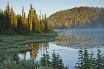 Sunrise, Reflection Lake, Mount Rainier National Park, Washington, USA by Danita Delimont