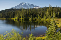 Evening, Mount Rainier, Reflection Lake, Mount Rainier Natio... by Danita Delimont