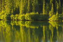 Close up, reflection, Reflection Lake, Mount Rainier Nationa... von Danita Delimont