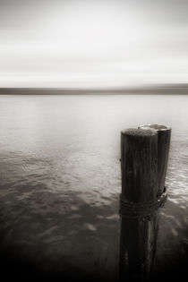 USA, Seattle, view from Alki beach von Danita Delimont