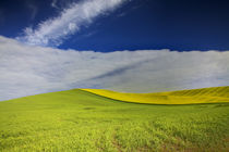 USA, Washington State, Palouse von Danita Delimont