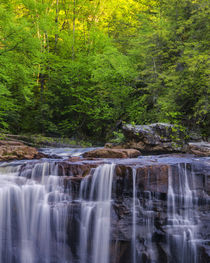 USA, West Virginia, Davis, Blackwater Falls von Danita Delimont