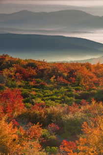 USA, West Virginia, Dolly Sods Wilderness by Danita Delimont
