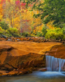 USA, West Virginia, Douglass Falls von Danita Delimont