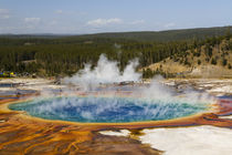 Elevated view of Grand Prismatic Spring, the largest in the U von Danita Delimont