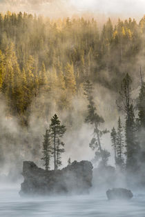 Boulders and trees in steaming Yellowstone River at sunrise,... von Danita Delimont